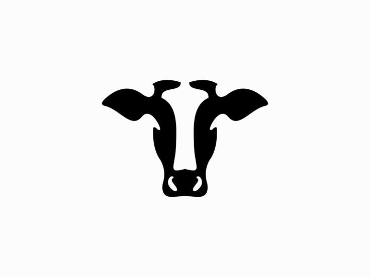Quality Cattle