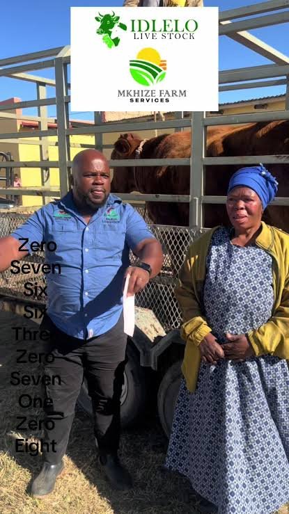 Idlelo Livestock customer