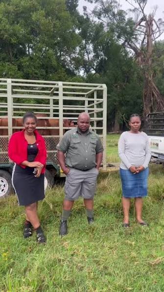 Idlelo Livestock customer